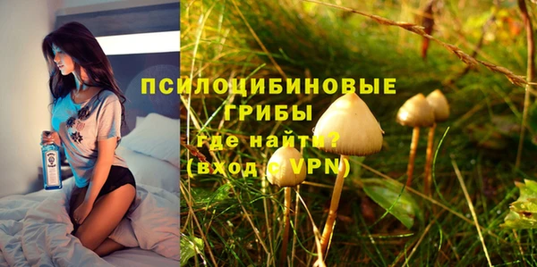СК Алзамай