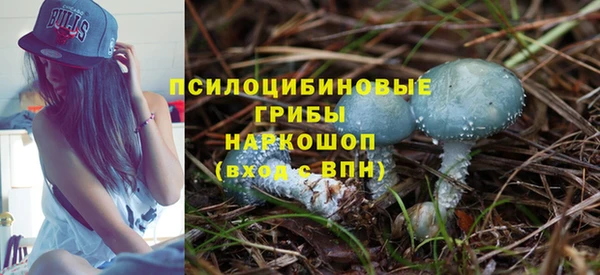 спиды Алексин