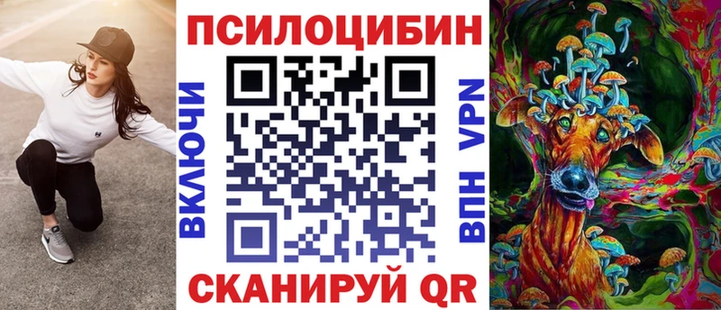 площадка какой сайт дарнет шоп Звенигово Псилоцибиновые грибы MAGIC MUSHROOMS